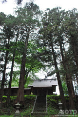 倭文神社(拝殿)