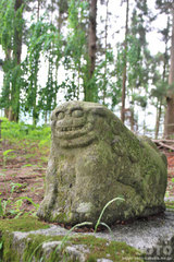 倭文神社(狛犬)