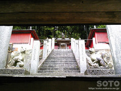 竹駒神社(8)