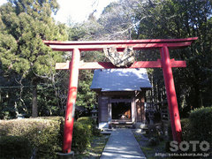 揺ヶ池(2)