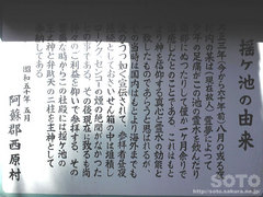 揺ヶ池(5)