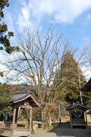 一つ目神社(2)