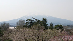 弘前城天守からの眺め(1)