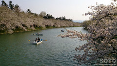 弘前公園の西濠