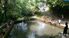 山の神養魚場(釣り堀)