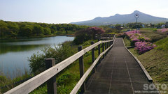 ひょうたん沼公園(2)