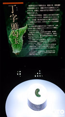 津波館(4)