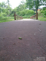 摩周 水郷公園(1)