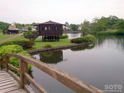 摩周 水郷公園(4)