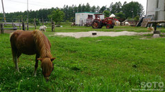 Northpole stable(3)
