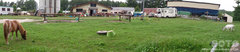 Northpole stable(6)