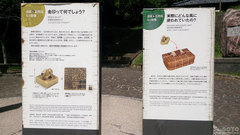 志賀島(金印公園2)