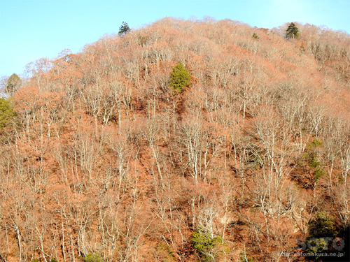湯西川の山々(2)