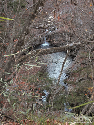 大滝(2)