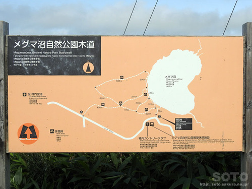 メグマ沼(1)