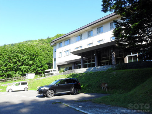 岩尾別(ホテル地の涯)
