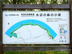 洞爺湖一周(水辺の森の小径/案内板)