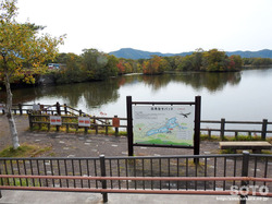 大沼公園(白鳥台セバット)