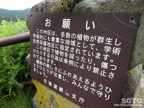 オロンコ岩(16)