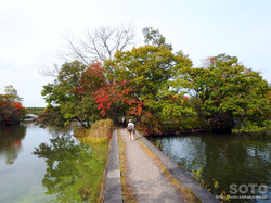 大沼公園(19)