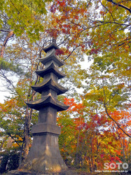 大沼公園(22)