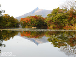大沼公園(26)
