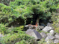 材木岩公園(3)