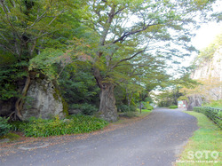 材木岩公園(6)
