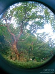 材木岩公園(8)