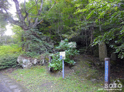 材木岩公園(9)