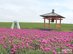 宗谷岬(02)