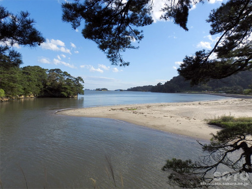 松島2018(24)