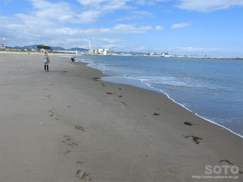 相馬の海岸