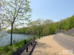 大沼公園2018春(12)