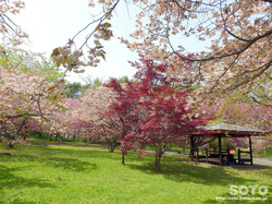 オニウシ公園(03)
