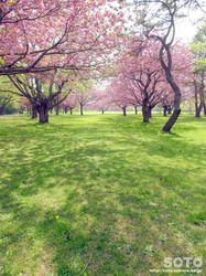 オニウシ公園(09)