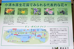 小清水原生花園(案内板)