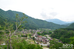 白川郷(荻町城趾からの眺め)