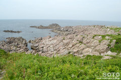 雄島・海岸