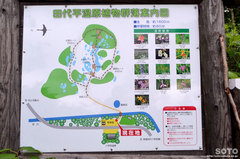 田代平湿原(案内図)