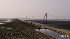 住吉海岸公園(3)