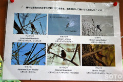 阿寒国際ツルセンター(11)
