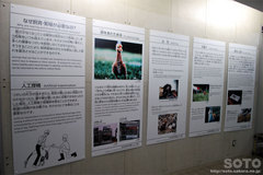 阿寒国際ツルセンター(2)