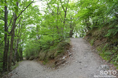 ΒȎRioRj