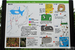 釧路市丹頂鶴自然公園(説明板)