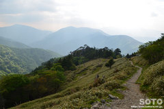 RόoRtgioRj