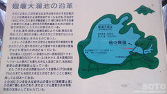 鶴の舞橋(4)