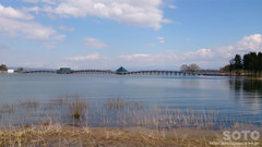 鶴の舞橋(7)