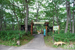 釧路市動物園(北海道ゾーン入口)