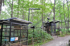 釧路市動物園(モモンガ/エゾリス檻)